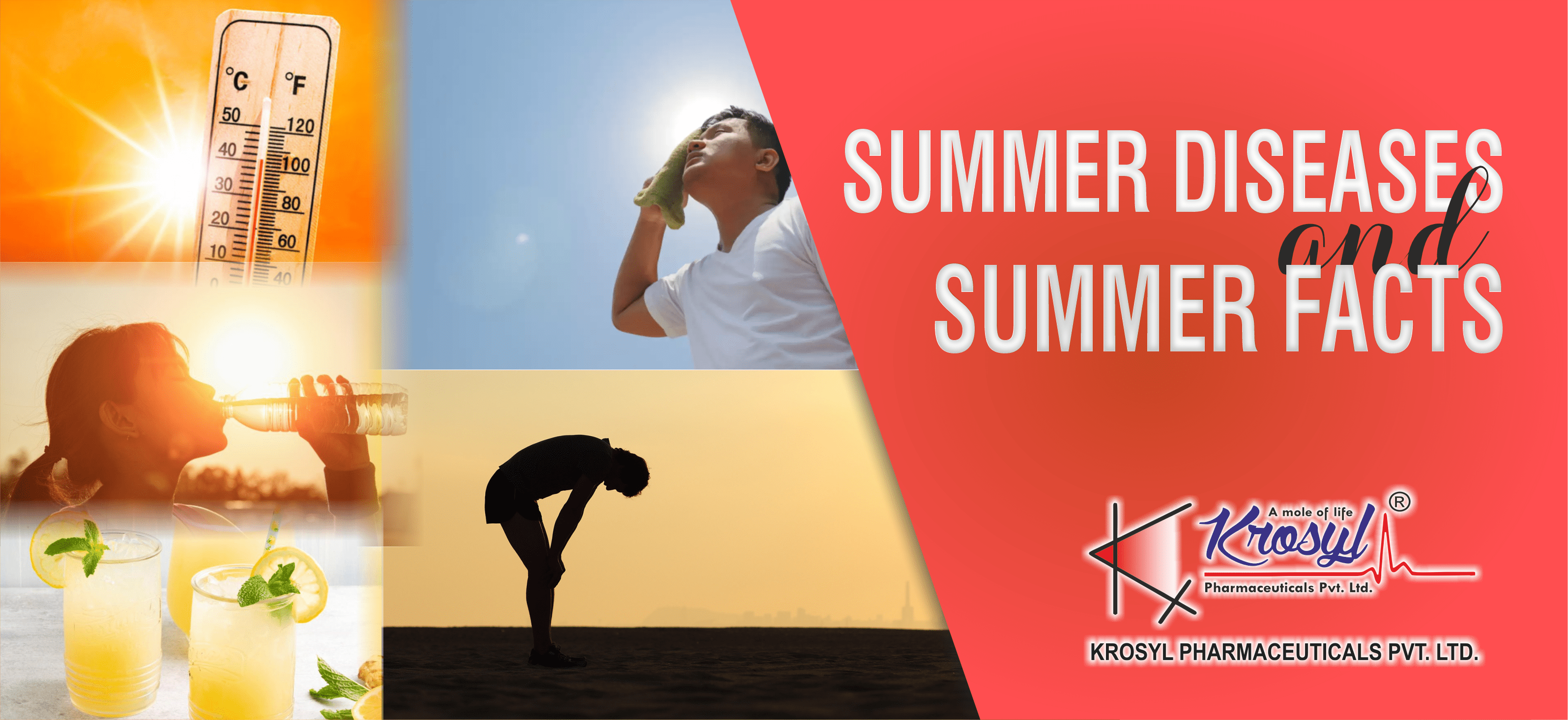 6 COMMON SUMMER DISEASES SUMMER FACTS Krosyl Pharmaceuticals Pvt Ltd 